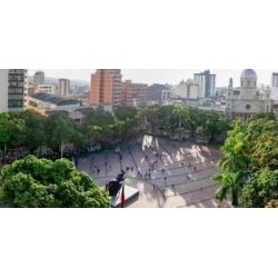 Imagen en miniatura de la galería