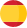 Bandera Español