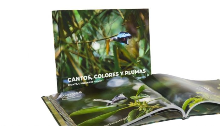 Cantos Colores y Plumas: Disponible en Venta