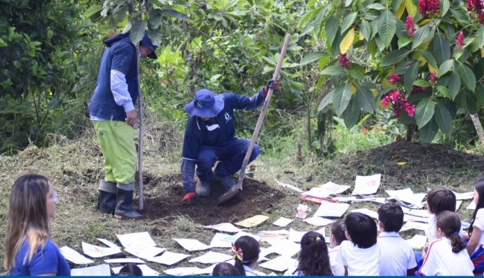 Guayacán blanco reposa en el Liceo Francés en memoria del profesor Samuel 
