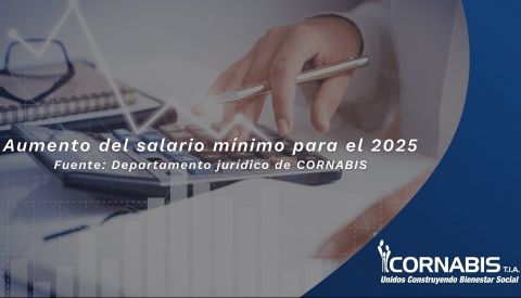 Salario mínimo 2025