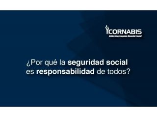 ¿Por qué la Seguridad Social es responsabilidad de todos?