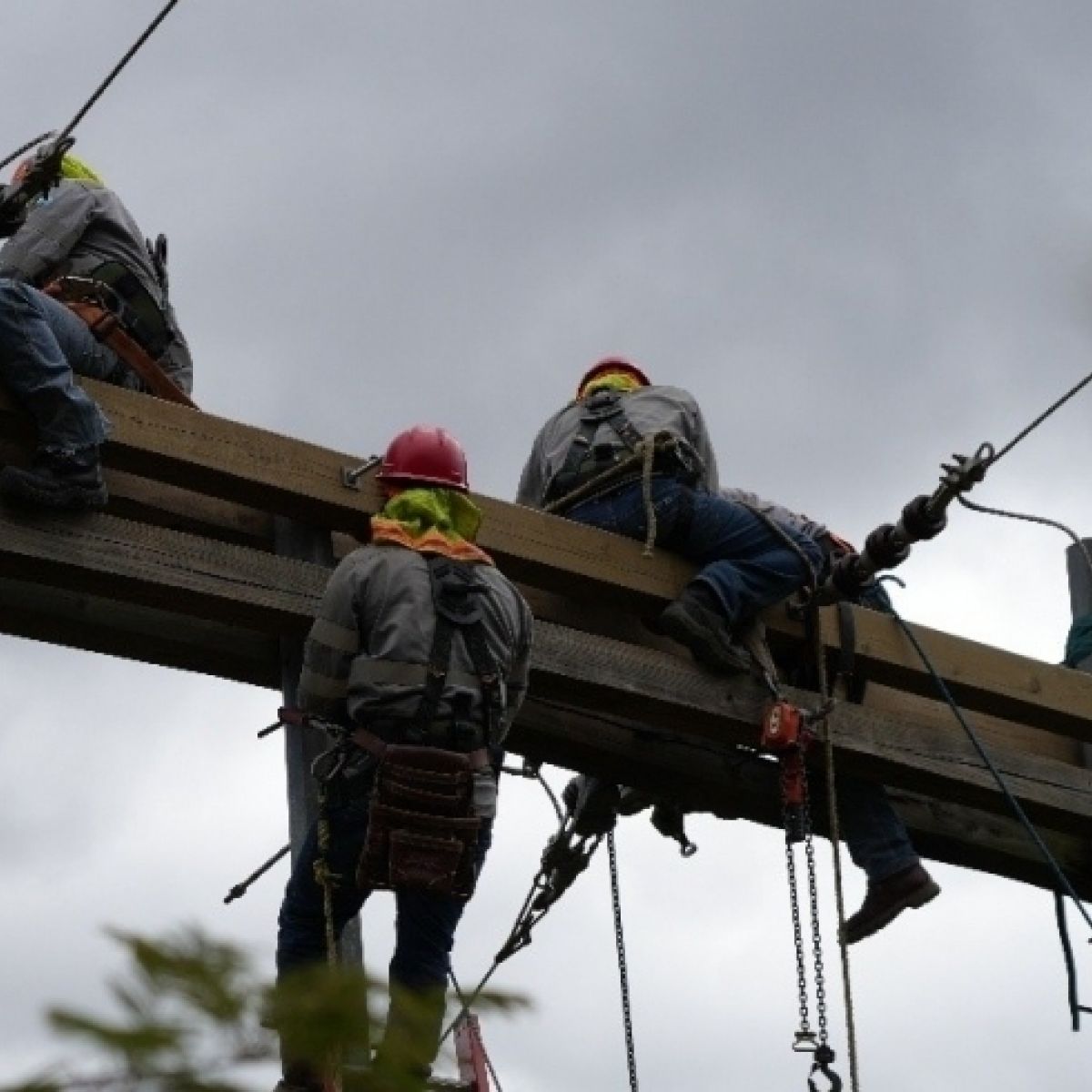 UTCD fortalece la red de distribución eléctrica con trabajos de mantenimiento en el municipio de Sabana Grande y Nueva A