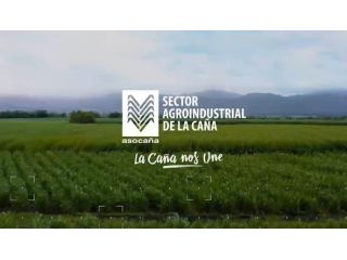 La Caña Nos Une