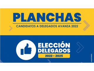 PLANCHAS DELEGADOS PERÍODO ESTATUTARIO 2022 - 2025