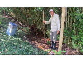 Aprovechando los Residuos Orgánicos de la Casa o Finca