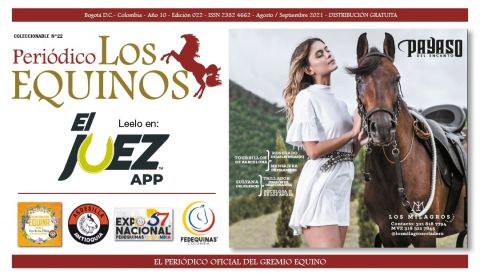El arreglo de nuestro caballo