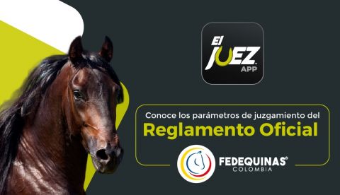 Reglamento oficial de calificación – Fedequinas