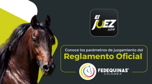 Reglamento oficial de calificación – Fedequinas