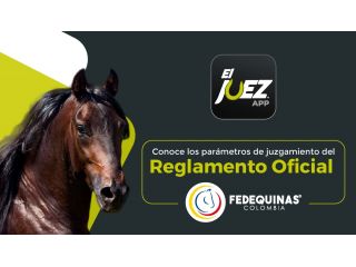 Reglamento oficial de calificación – Fedequinas