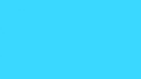 Articulo uno