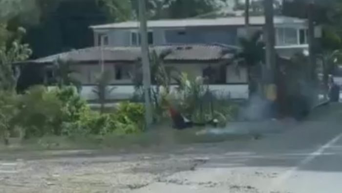 Ejército desactiva explosivo del ELN en Valdivia, Antioquia