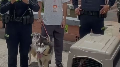 Policía atiende oportunamente presunto caso de maltrato animal en Pereira