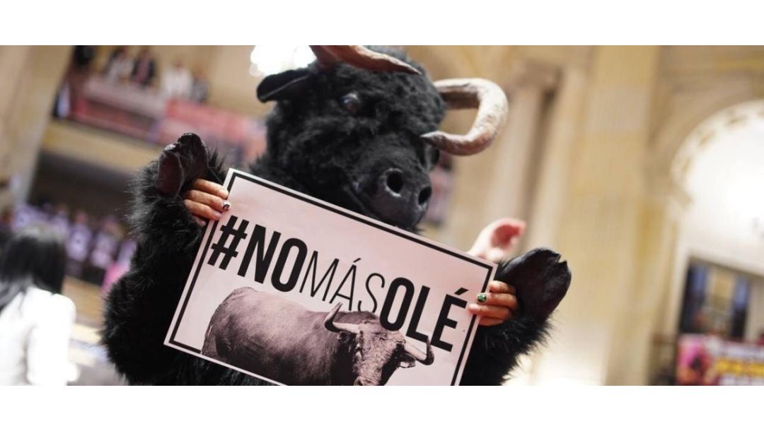 Imagen de Corte Constitucional ratifica prohibición de corridas de toros y prácticas violentas con animales