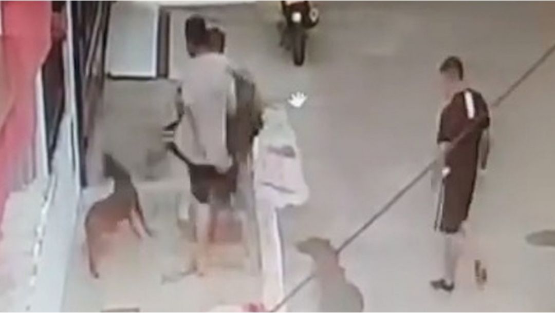 Imagen de Tres hombres condenados por maltrato animal en Norte de Santander, Tolima y Antioquia