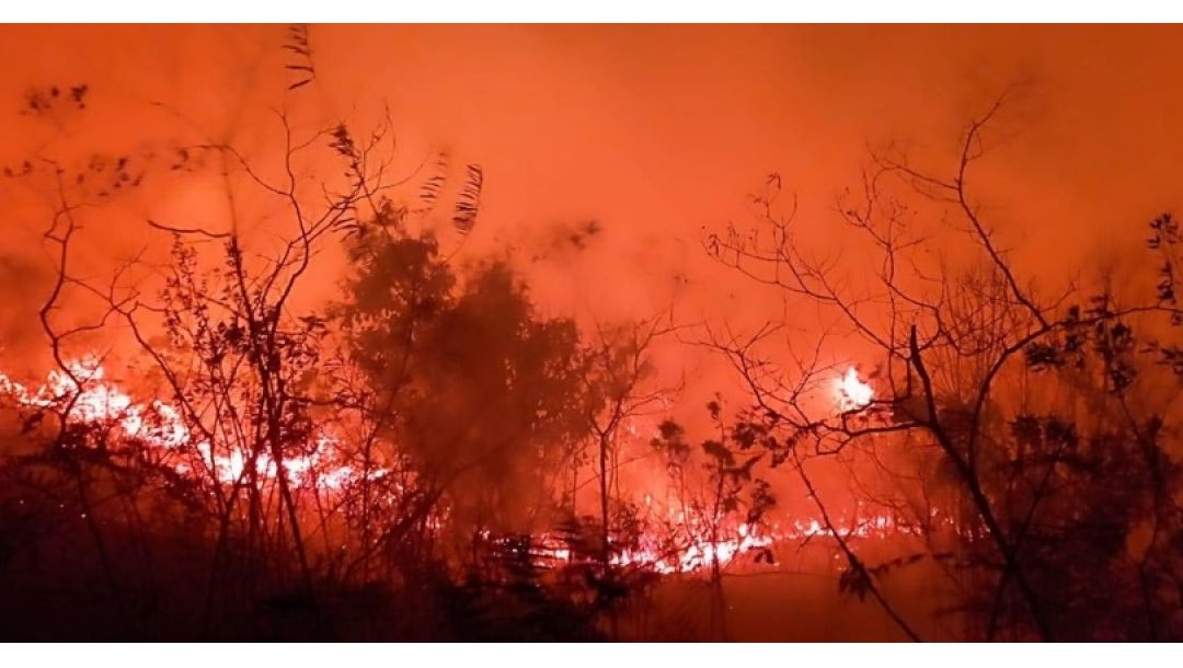 Imagen de Devastador incendio forestal azota veredas de Dolores, Tolima