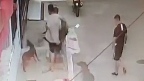 Tres hombres condenados por maltrato animal en Norte de Santander, Tolima y Antioquia