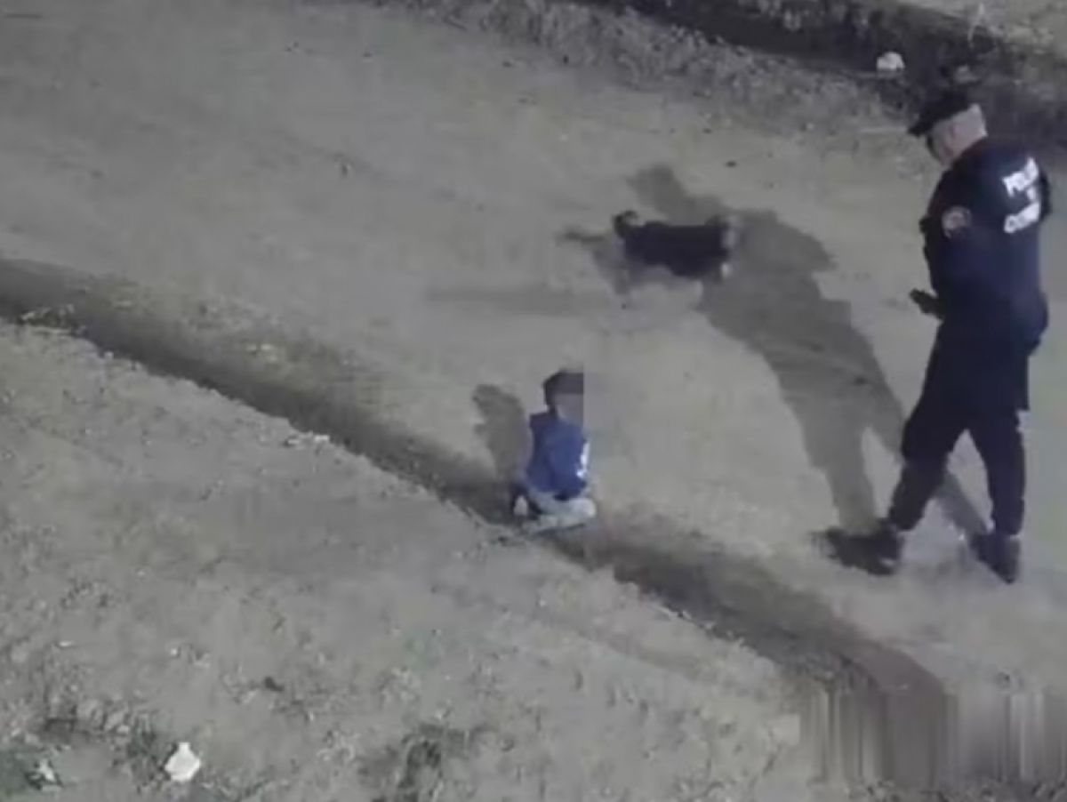 Encontraron un bebé gateando en compañía de su perro en la calle