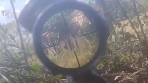 Neutralizado integrante del Clan del Golfo en operación militar en Pivijay, Magdalena