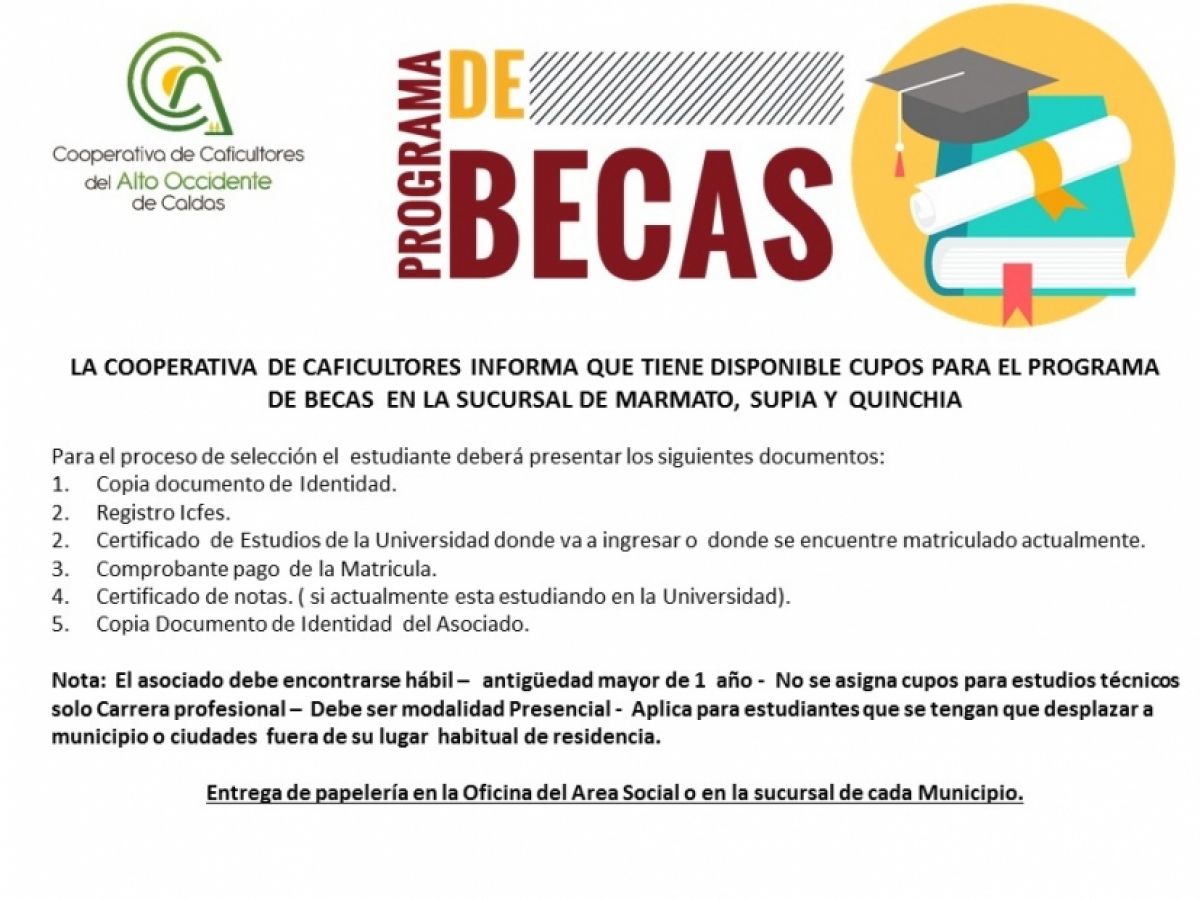 BECAS EDUCACIÓN SUPERIOR