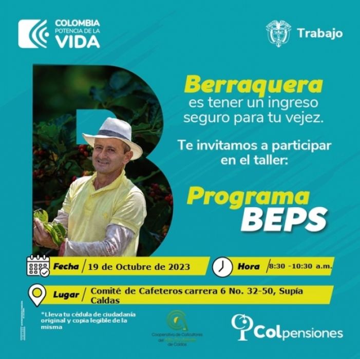 ASESORIA BEPS