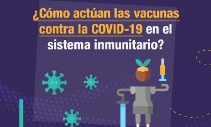 ¿Cómo actúan las vacunas contra la Covid - 19 en el sistema inmunitario?